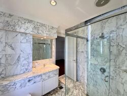 Four Seasons Park (D10), Condominium #563342801